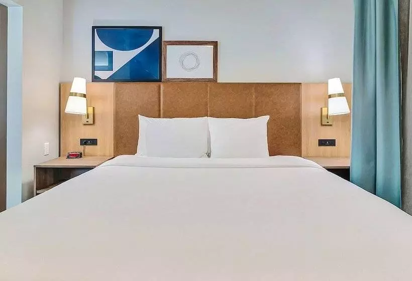 استودیوی استاندارد, Staybridge Suites Tyler University Area, An Ihg