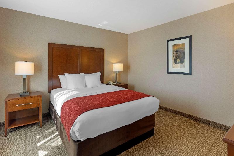 Suite, Staybridge Suites Tyler University Area, An Ihg