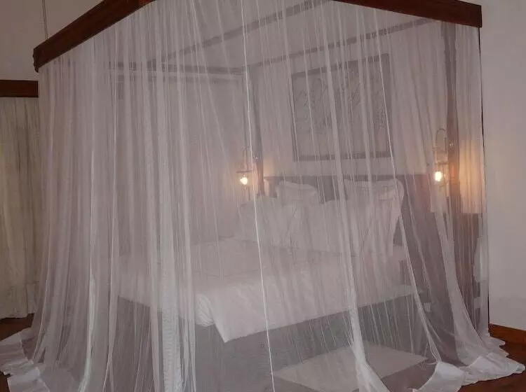 سوییت جونیور, Ocean Beach Resort & Spa