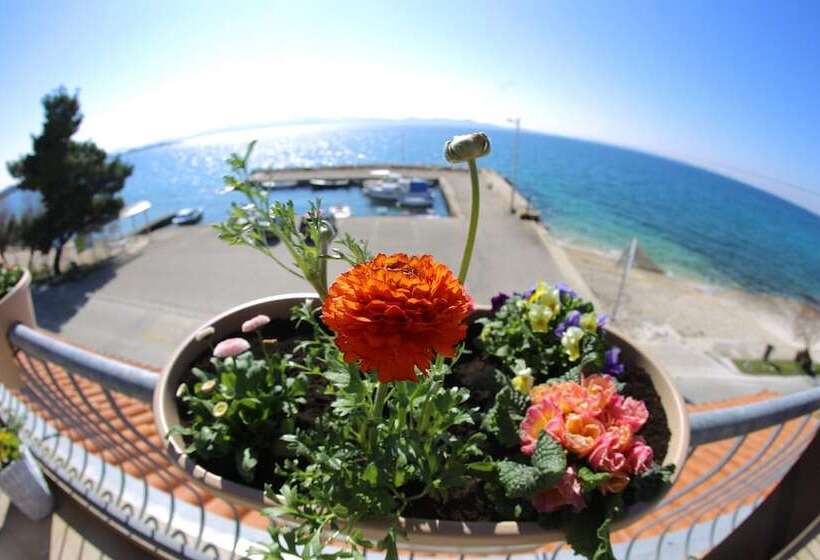 수피리어 스위트 바다 전망, Delfin