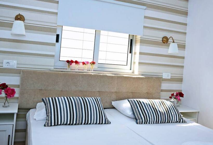 이코노미 룸, Delfin