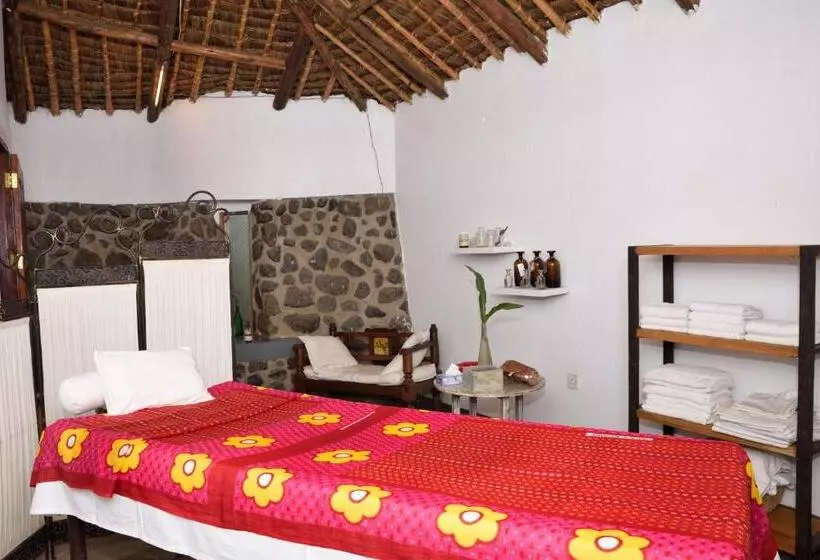 اتاق استاندارد سه نفره, Kia Lodge