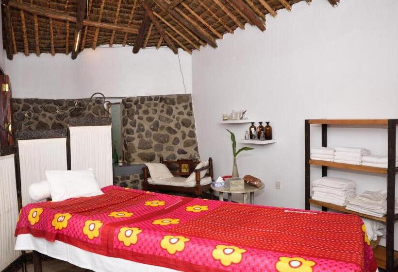 Номер Стандарт Индивидуальный, Kia Lodge