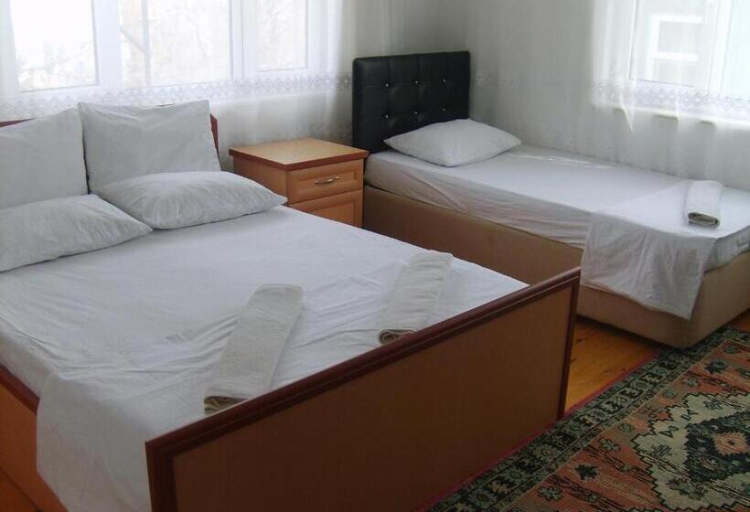 غرفة قياسية, Sehsuvar Peace Pension