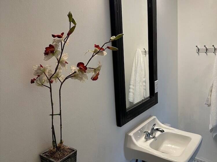 استودیوی لوکس, Casa Condado Hotel & Residences