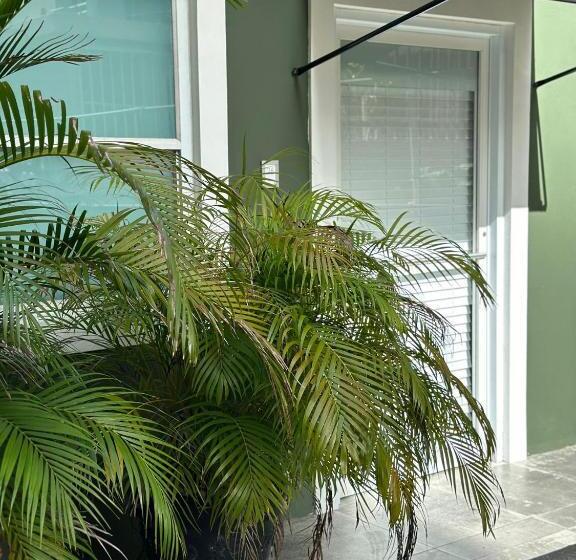 استودیوی لوکس, Casa Condado Hotel & Residences