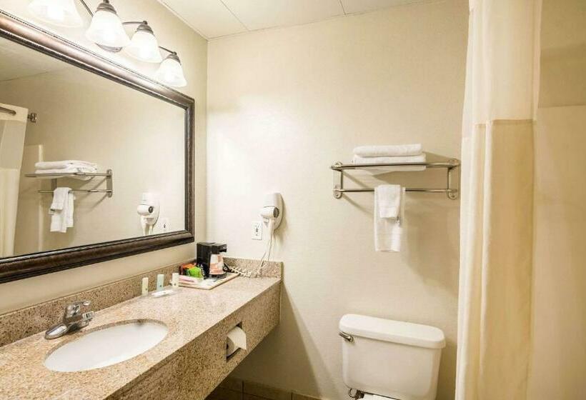 غرفة قياسية سرير كينج, Quality Inn Alexander City