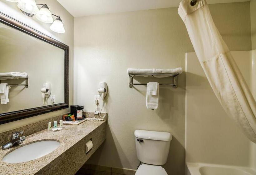 غرفة قياسية, Quality Inn Alexander City