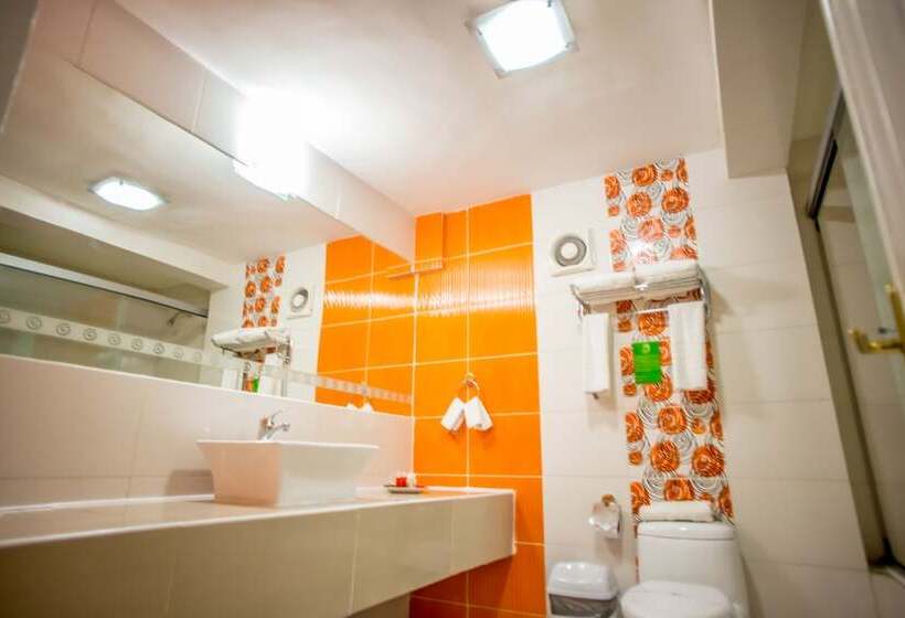 اتاق استاندارد یک نفره, Regina Resort & Convenciones