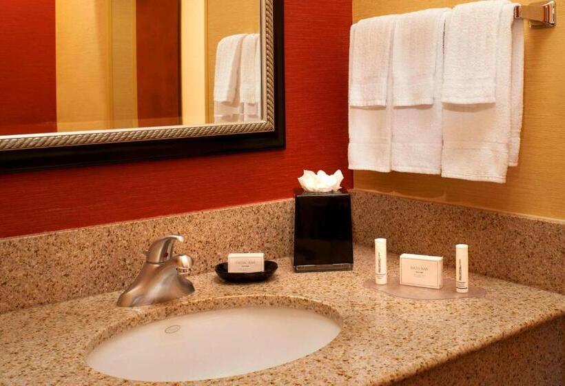 חדר סטנדרט מותאם לאדם עם מוגבלויות, Sonesta Select Detroit Auburn Hills