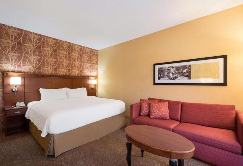 חדר סטנדרט מותאם לאדם עם מוגבלויות, Sonesta Select Detroit Auburn Hills