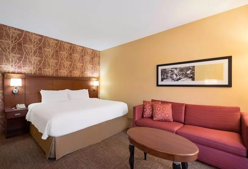 デラックスルーム, Sonesta Select Detroit Auburn Hills