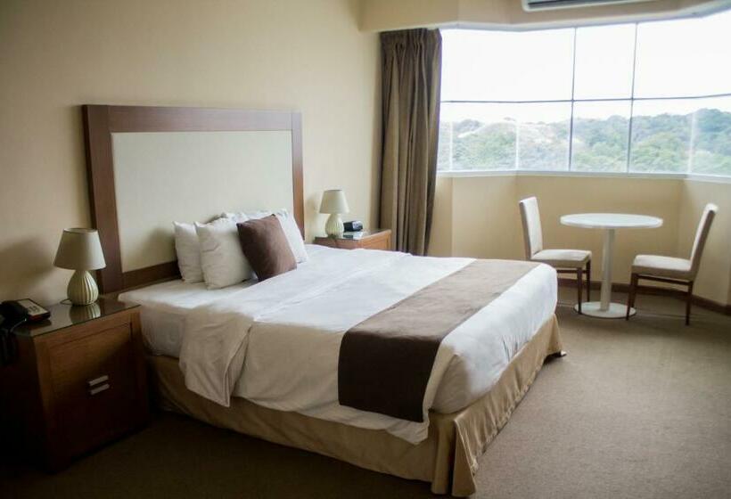 Полулюкс, Central Park Hotel & Casino