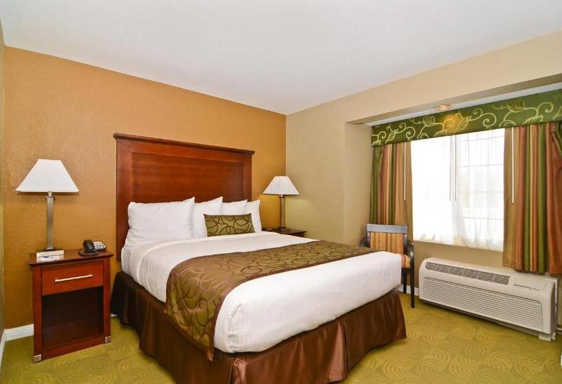 חדר סטנדרט, מיטת קינג, מותאם לאדם עם מוגבלויות, Best Western California City Inn & Suites