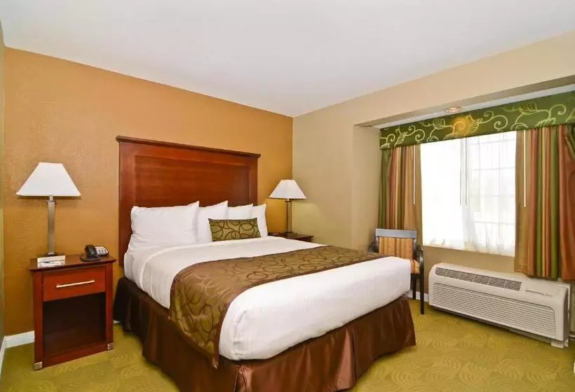 身障者適用キングサイズベッドルーム, Best Western California City Inn & Suites