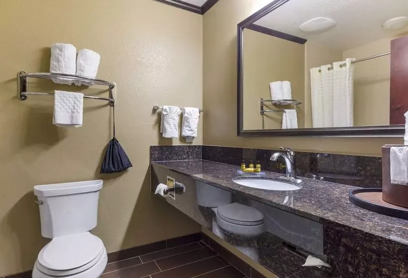 スイート, Best Western Plus Classic Inn And Suites
