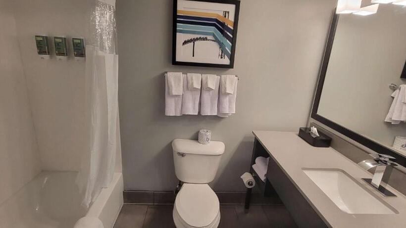 스탠다드 룸 킹사이즈 침대, Best Western Doswell