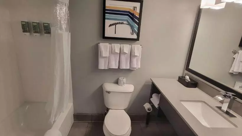 身障者適用キングサイズベッドルーム, Best Western Doswell