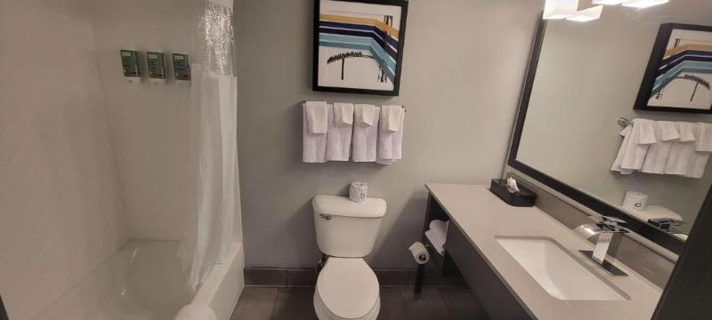 스탠다드 룸 킹사이즈 침대, Best Western Doswell