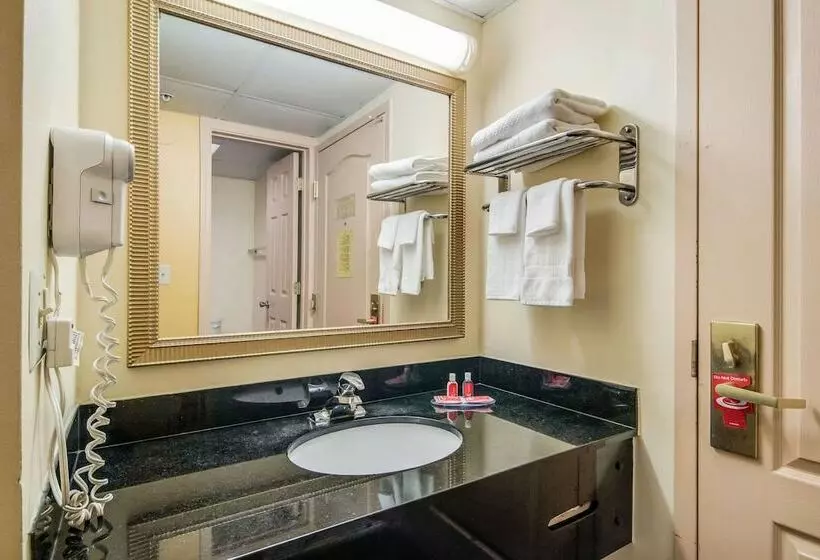 ２ダブルベッドのスタンダードルーム, Econo Lodge At Six Flags