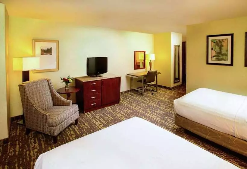 スタンダードルーム, Hampton By Hilton Veracruz Boca Del Rio