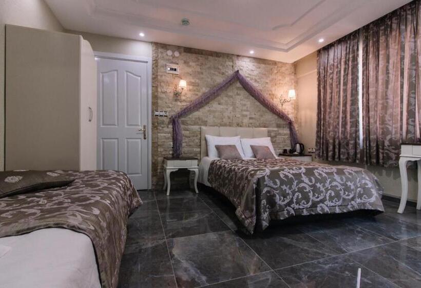 اتاق استاندارد یک نفره, Melrose House