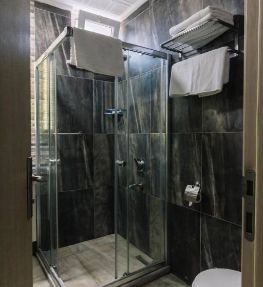 اتاق استاندارد یک نفره, Melrose House