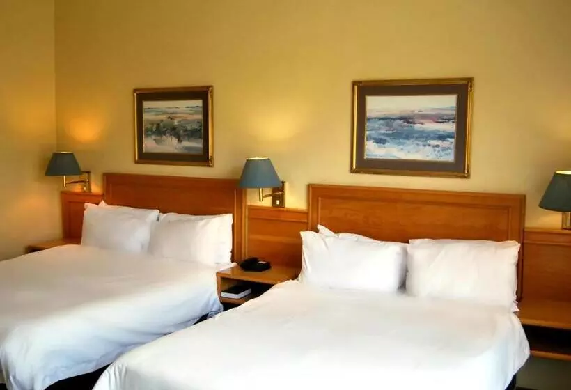 デラックスファミリールーム, Safari Hotel & Convention Centre