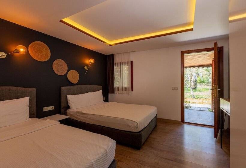 اتاق استاندارد, Keyif Pension & Aparts