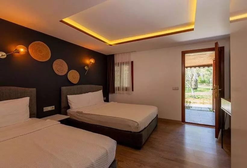 Standard-huone, Keyif Pension & Aparts