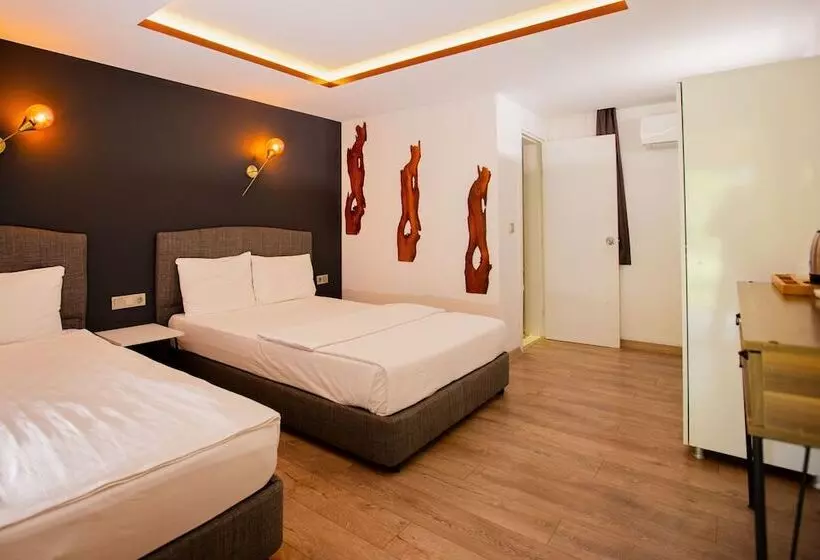 Standard Kolmen Hengen Huone, Keyif Pension & Aparts