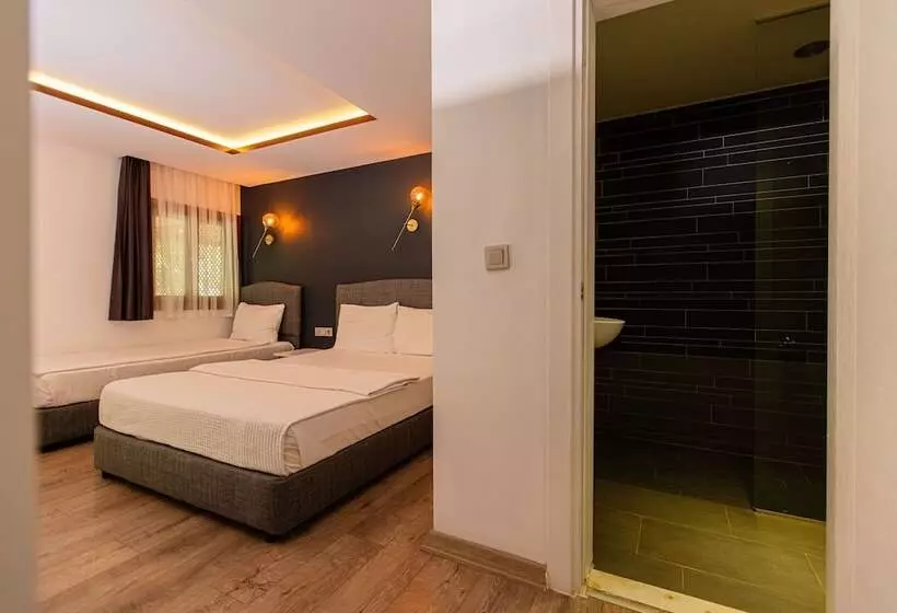 Standard Kolmen Hengen Huone, Keyif Pension & Aparts
