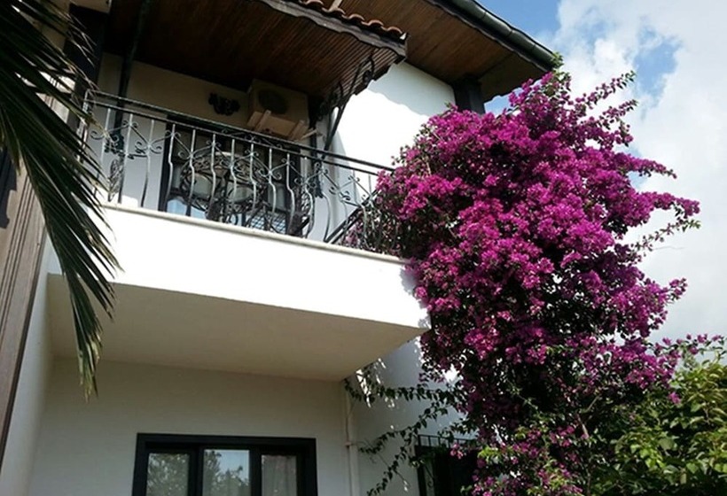 اتاق استاندارد, Hemeransanatolia