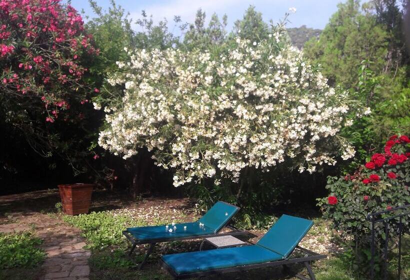 اتاق استاندارد سه نفره, Hemeransanatolia