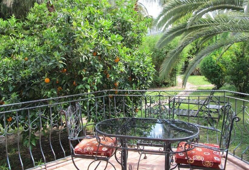 اتاق خانوادگی, Hemeransanatolia