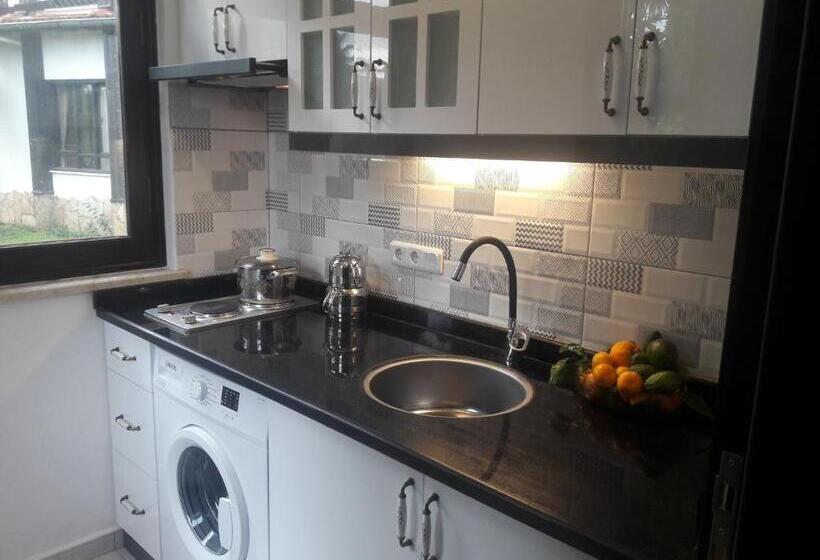 اتاق خانوادگی, Hemeransanatolia