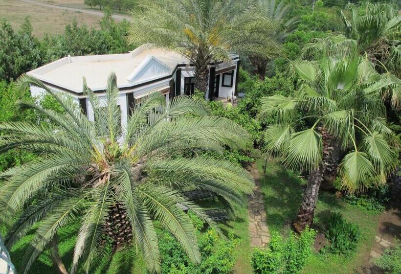 اتاق خانوادگی, Hemeransanatolia