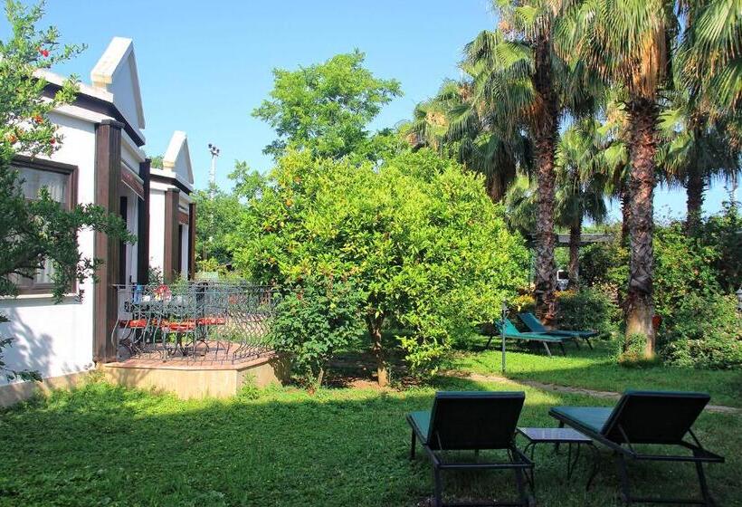 اتاق خانوادگی, Hemeransanatolia