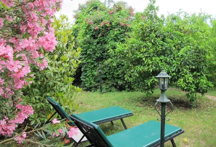 اتاق استاندارد سه نفره, Hemeransanatolia