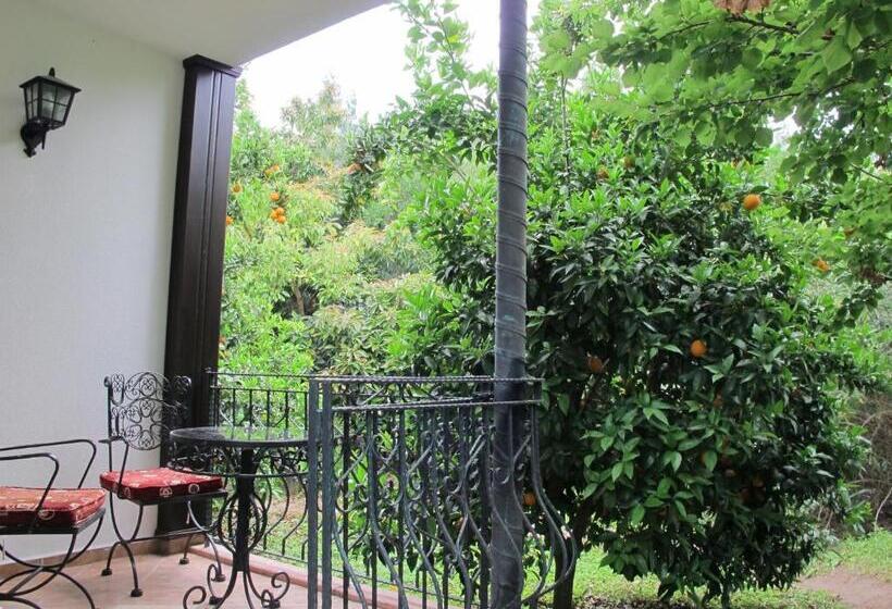 اتاق استاندارد سه نفره, Hemeransanatolia