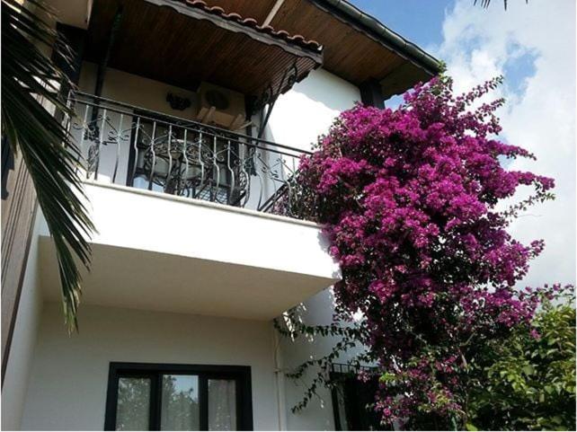 اتاق استاندارد سه نفره, Hemeransanatolia