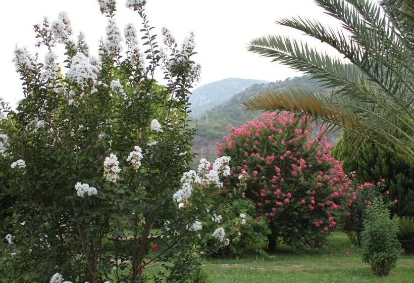 Бунгало Стандарт 2 Спальни, Hemeransanatolia