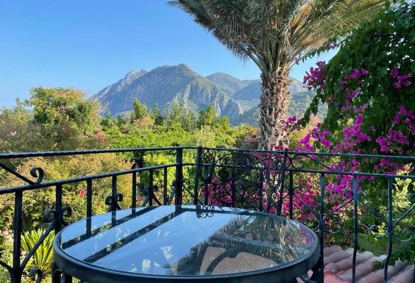 اتاق اکونومی, Hemeransanatolia