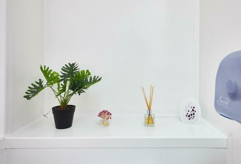 标准间带双层床, St Christopher S The Inn   London Bridge