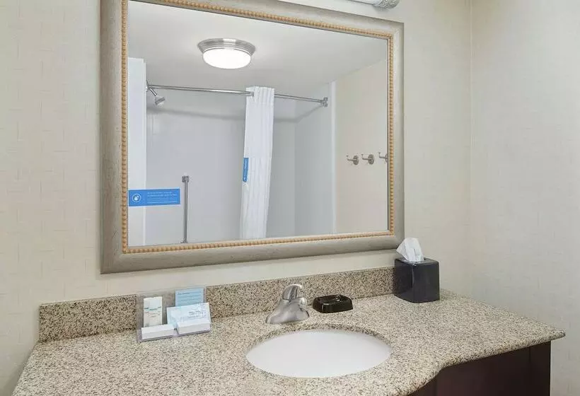 Standard-huone Parivuode, Hampton Inn Fairhopemobile Bay