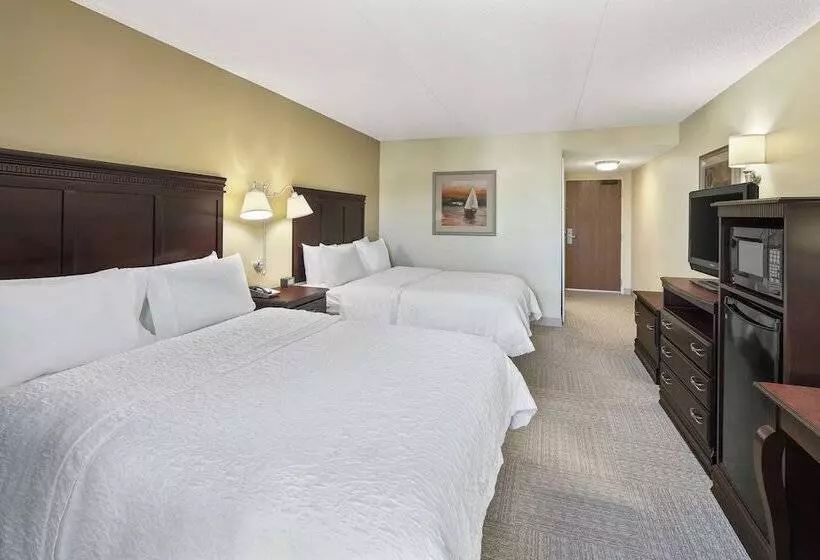 Standard-huone 2 Parivuodetta, Hampton Inn Fairhopemobile Bay