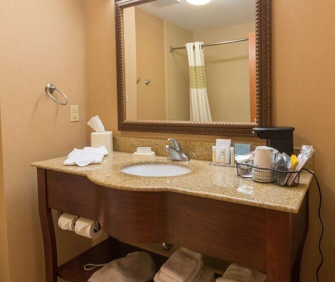 غرفة قياسية, Hampton Inn Goshen
