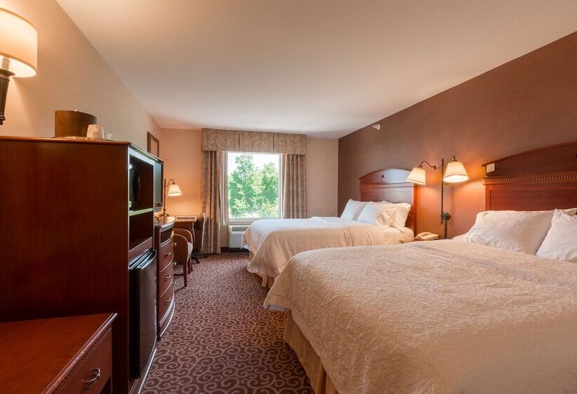 غرفة قياسية, Hampton Inn Goshen