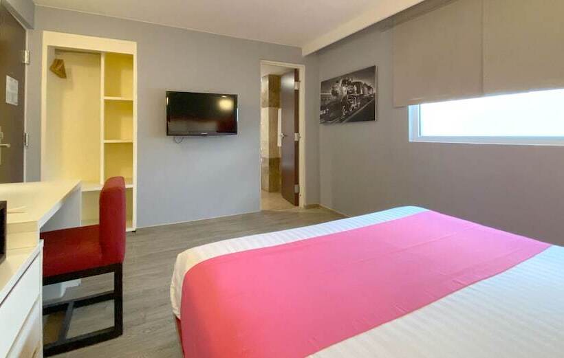 اتاق استاندارد, MX Forum Buenavista