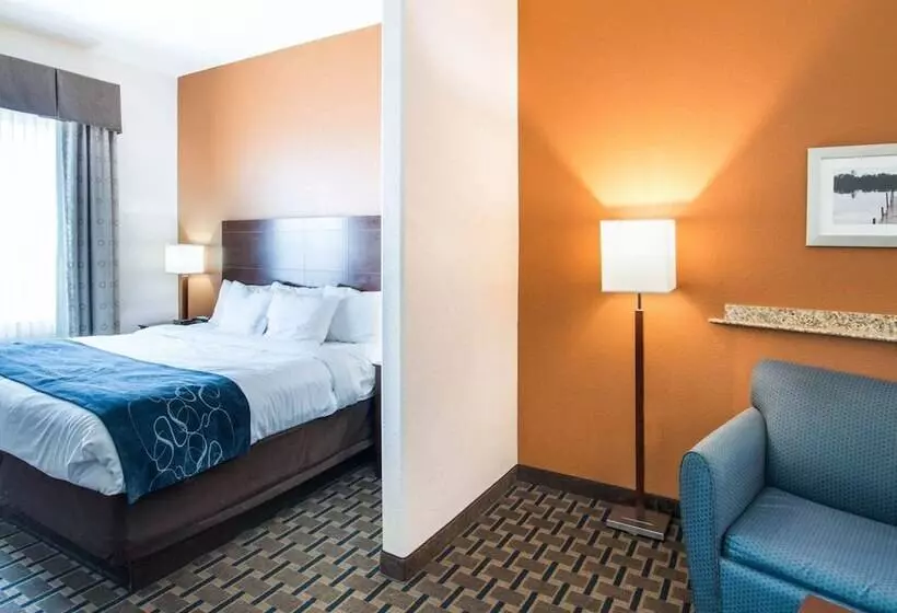 Sviitti, Comfort Suites Waxahachie Dallas